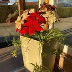 Διαμέρισμα Birnbaum *